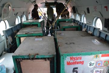 Alle acht Transportboxen haben an Bord des Helikopters Platz