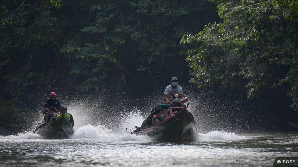 Wassertrasport zu der Orang-Utan-Auswilderungsstelle