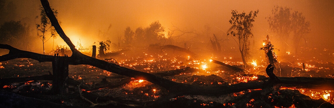 Waldbrände auf Borneo