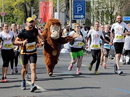 Plüsch Orang-Utan läuft beim Hannover Marathon