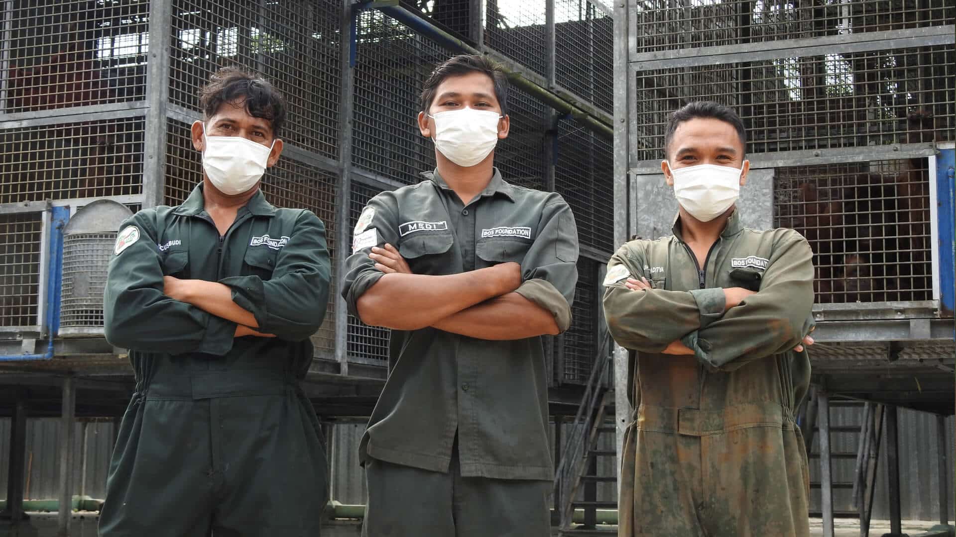 Orang-Utan-Warrior Medi mit seinen Kollegen