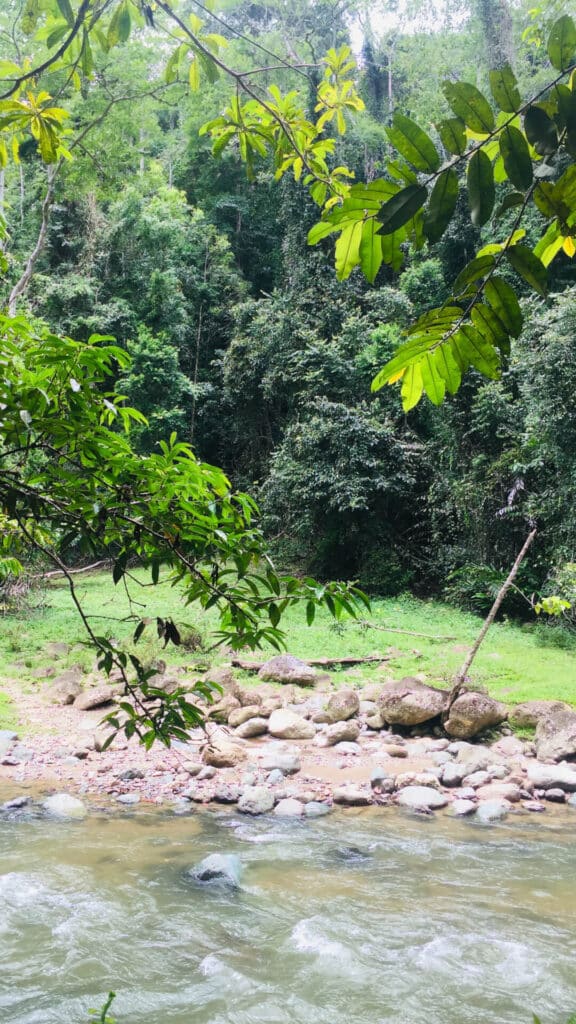 Flußufer im Dschungel (Wald von Keje Sewen)