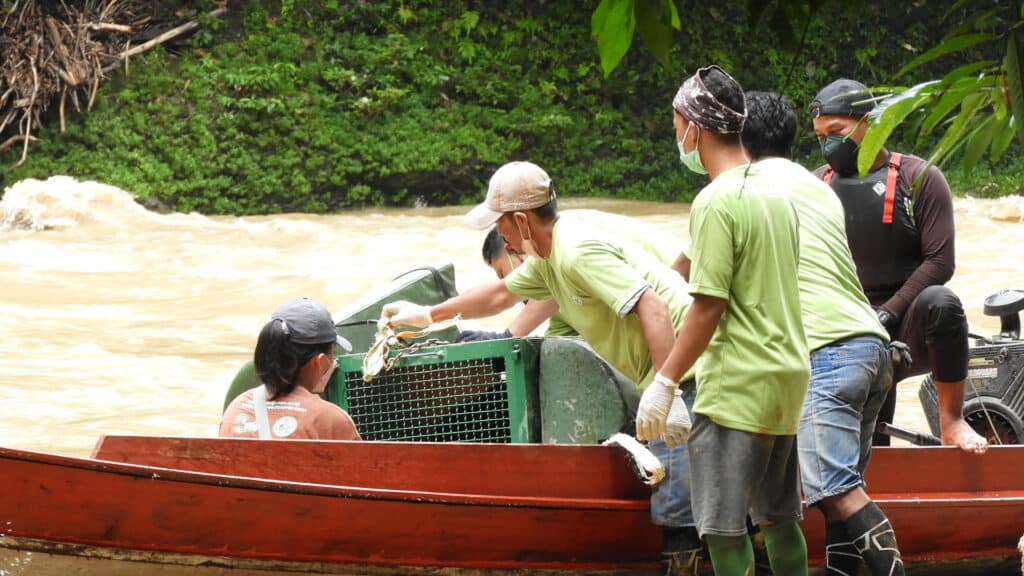 Mit dem Boot werden die Orang-Utans in den Regenwald zur Auswilderung gebracht