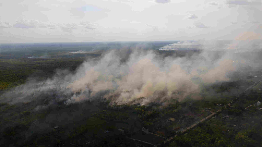 Torfmoorbrand in Indonesien