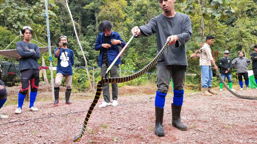 Post-Release Monitoring Team wird im Umgang mit Schlangen geschult