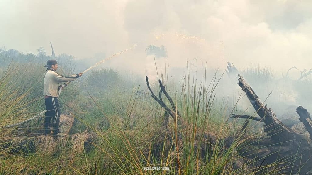 Haze und Feuer in Mawas auf Borneo 2023
