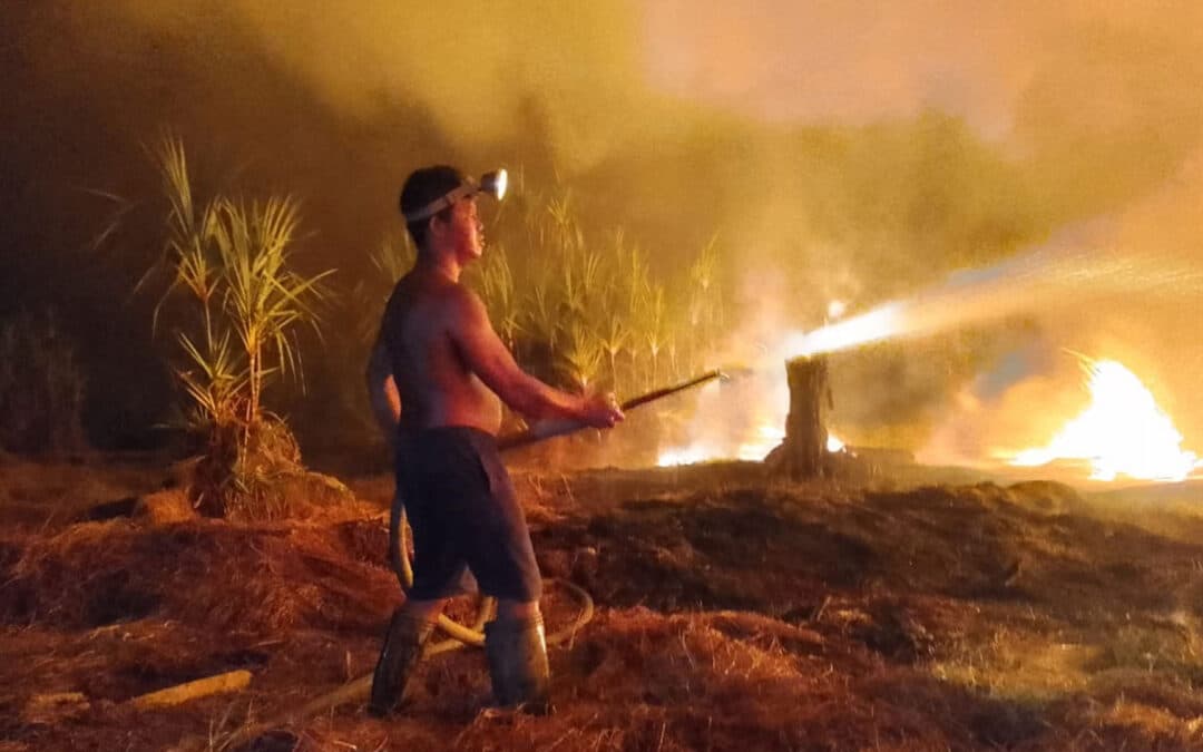 Es brennt auf Borneo