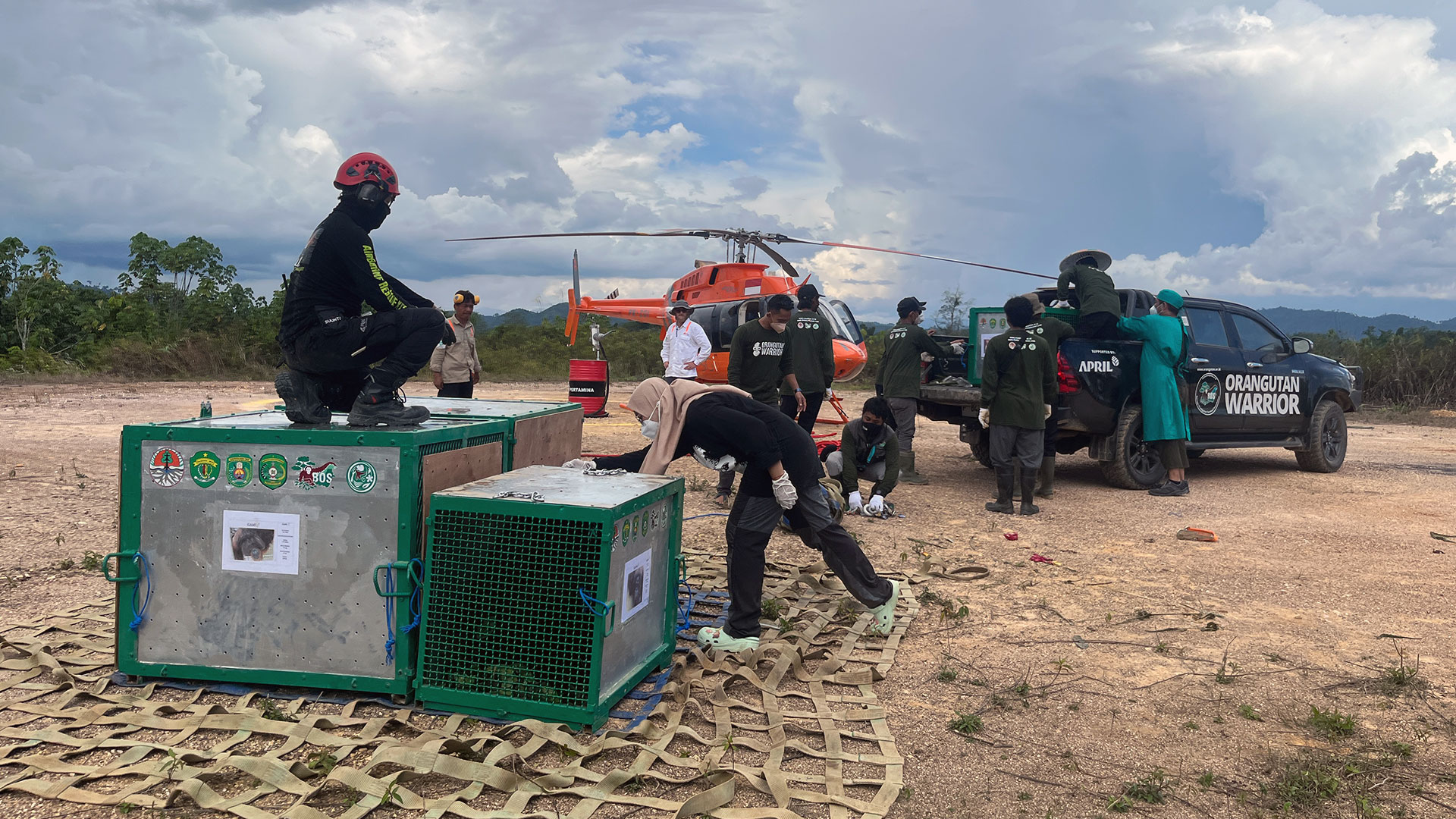 Transportboxen mit Orang-Utans vor Helikopter kurz vor Auswilderung