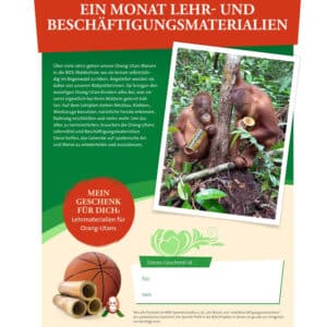 geschenke für valentinstag lernmaterialien für orang-utans