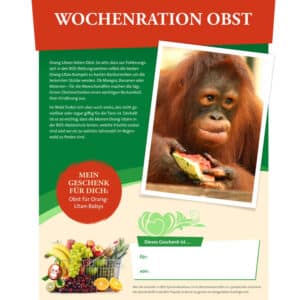 geschenke für valentinstag obst für orang-utans