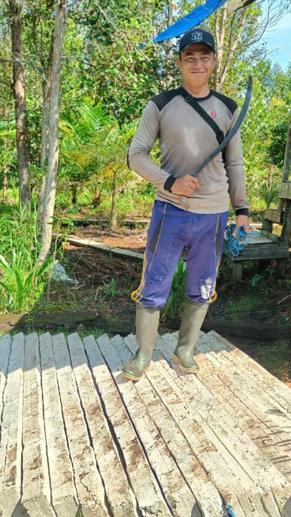 Brandschutzwege im Mawas-Gebiet